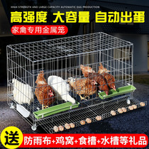 Chicken cage Household large extra large cage Duck rabbit pigeon breeding cage Wire family automatic egg cleaning dung chicken coop chicken nest