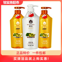 Bee Flower Silicone-free Ginger Shampoo Dew Anti-dandruff anti-itching oil control improve frizz supple Conditioner shampoo set