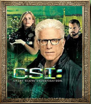 American drama Crime Scene Investigation Las Vegas CSI1-15 season Chinese posters
