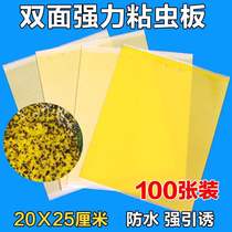 Double-sided strong armyworm board Insect lure board Yellow board Small flying insects Fruit tree flies Fruit flies Orchard needle bees Sticky fly stickers vegetables
