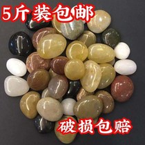 Natural pebble stone rain flower stone decorative stone colorful stone fish tank flower pot flower meat Horticultural Park paving potted