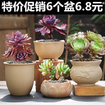  Coarse pottery vegetarian burning succulents ceramic flower pot New simple creative potted green plant thumb seedlings