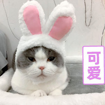 Net red pet supplies Cat rabbit ears headgear Rabbit Cat Cat hat Cute birthday decorations headdress shake sound