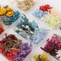 Yixin Yongsheng flower dry flower diy material bag handmade homemade candle wax decorative flower box ornaments