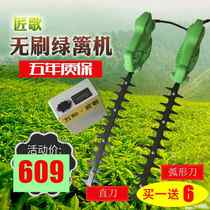 Craftsman song rechargeable electric brushless hedge trimmer Single person portable straight knife curved machete trimmer rechargeable garden