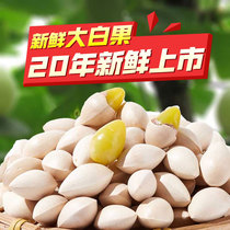 (5 catty)Fresh large shelled white fruit ginkgo biloba fruit No bleaching Taixing premium dried raw hundred fruits