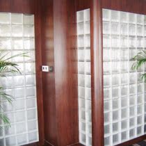 Set to reinforce square glass brick shower partition wall Cloud a foggy toilet hollow brick I am living room Hyun guan t
