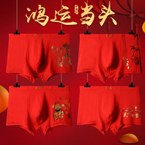 This years red underwear mens festive bronzing boxer pants large size Middle waist young mens underwear manufacturers