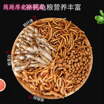 Turtle food feed dried shrimp dried fish Brazilian tortoise grass turtle snapping turtle freshwater large particles big tortoise food General tortoise food