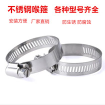 304 Hose Clamps Stainless Steel Clamps Strong Clamps Pipe Clamps Clamps Clamps Clamps Clamps Clamps Clamps Clamps Clamps Clamps Clamps Clamps Clamps Clamps Clamps Clamps