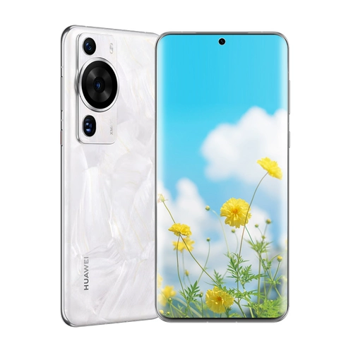 Huawei/Huawei P60 Pro 12+512 ГБ