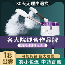 Thermal spray instrument beauty salon special steamer sprayer nano hydrator spray humidifier double spray face home