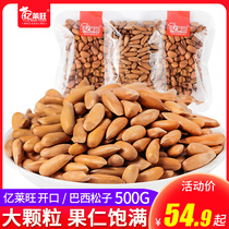 Yilaiwang open pine nuts Brazilian pine nuts northeast hand-peeled large particles original flavor bulk nuts specialty snacks wholesale