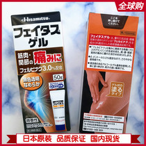 Japan native hisamitsu cervical spine knee ankle sprain Calf muscle strain Joint pain smear 50g