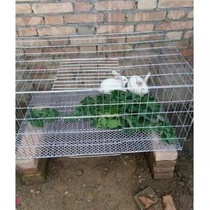 Rabbit Cage Dutch Pig Supplies Poultry Rabbit Cage Pet Breeding the Big Number Large Rabbit Cage Rabbit Cage