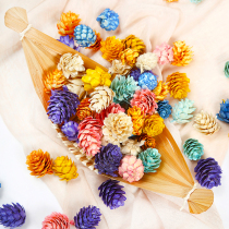 Natural dyed color pine cone Christmas tree decorations diy handmade garland arrangement material accessories shooting props