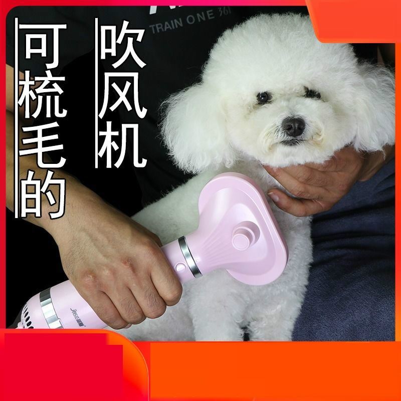Silent supplies Teddy hair blowing comb dryer Dog hair blowing artifact than Bear time-saving electric fan Samoyer hair pulling