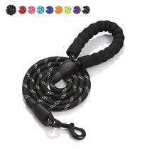 Pet Traction Rope Glistening Dog Rope Nylon Dog Chain Explosion Proof Rope Gold Mattedi Small And Medium Dog Rope Pet Supplies