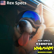 American Pooch Goggles Import Military Dog Glasses Golden Hair Dog Ski Mirror Faro Outdoor Windproof Mirror
