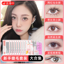 Mascara Self-Adhesive False Eyelash Woman Natural Emulation Single Tuft Mesh Red Fish Tail Fairy Hair Self-Grafted Eyelash Suit