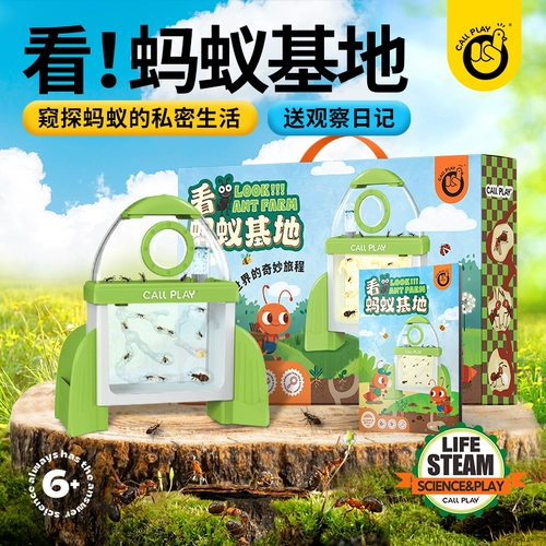 Детский набор для научных экспериментов, база для муравьев, экологический живой ящик для наблюдения за мелкими животными и насекомыми, детский сад с королевой муравьев