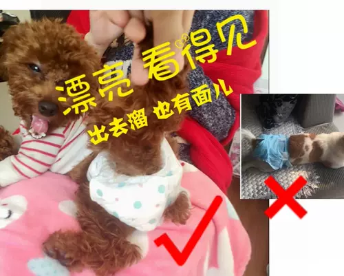 Pe Turin Pad Pad от Dog Cat E Creme Tu для реализации на подгузниках PE VP OT MAT