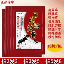 Mengshi Jingfang paste Black ant bone permeable paste Neck shoulder waist and leg pain paste Cold compress plaster lumbar muscle strain