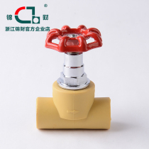 Brocade water pipe valve PPR tubing lift stop valve 46 full copper gate valve switch thickened valve core accessory