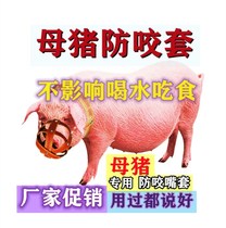  Pig mouth cover Anti-eating sow with anti-biting piglets set artifact Cow and horse mouth cover Pig farm breeding supplies mouth