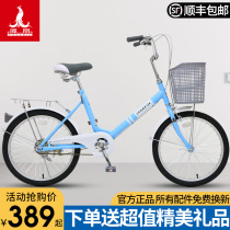 Phoenix brand bicycle 20 22 inch city light commuter men and women student retro Lady car adult bicycle