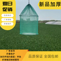 Fish-in-fish cage for fish protection hanging cage folded fish protective fish nets pocket fish fish lobster mud loach crab yellow eel stop nets