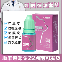 Bo Lay Cats Nasal Eye Drops Cats Herpes Calicia Virus Conjunctival Infection Conjunctivitis Cat Eye Drops