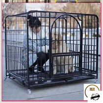 Big Bears Dog Cage Home Indoor Dog Dragon Large Dog Schnauzer Giant Teddy Villa Pet Cage