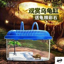 Plastic turtle box turtle feeding turtle box large ladder Villa tortoise table turtle table fish tank balcony Turtle Pond