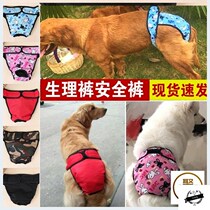 Pet mother dog harassment pants big dog anti golden hair medium large dog physiological aunt towel sanitary menstruation safety pants