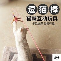 Long pole steel wire feather cat stick replacement head cat supplies cat toys bite resistant cat teaser cat supplies