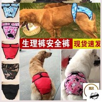 Dog Teddy pants pet sanitary napkins menstruation bitch female physiological diapers aunt diapers male dog safety pants