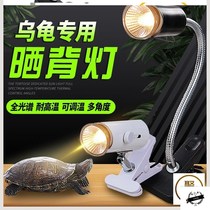 Controller warm supplies ceramic lamp heating land tortoise box heater solar temperature control calcium supplement insulation chameleon