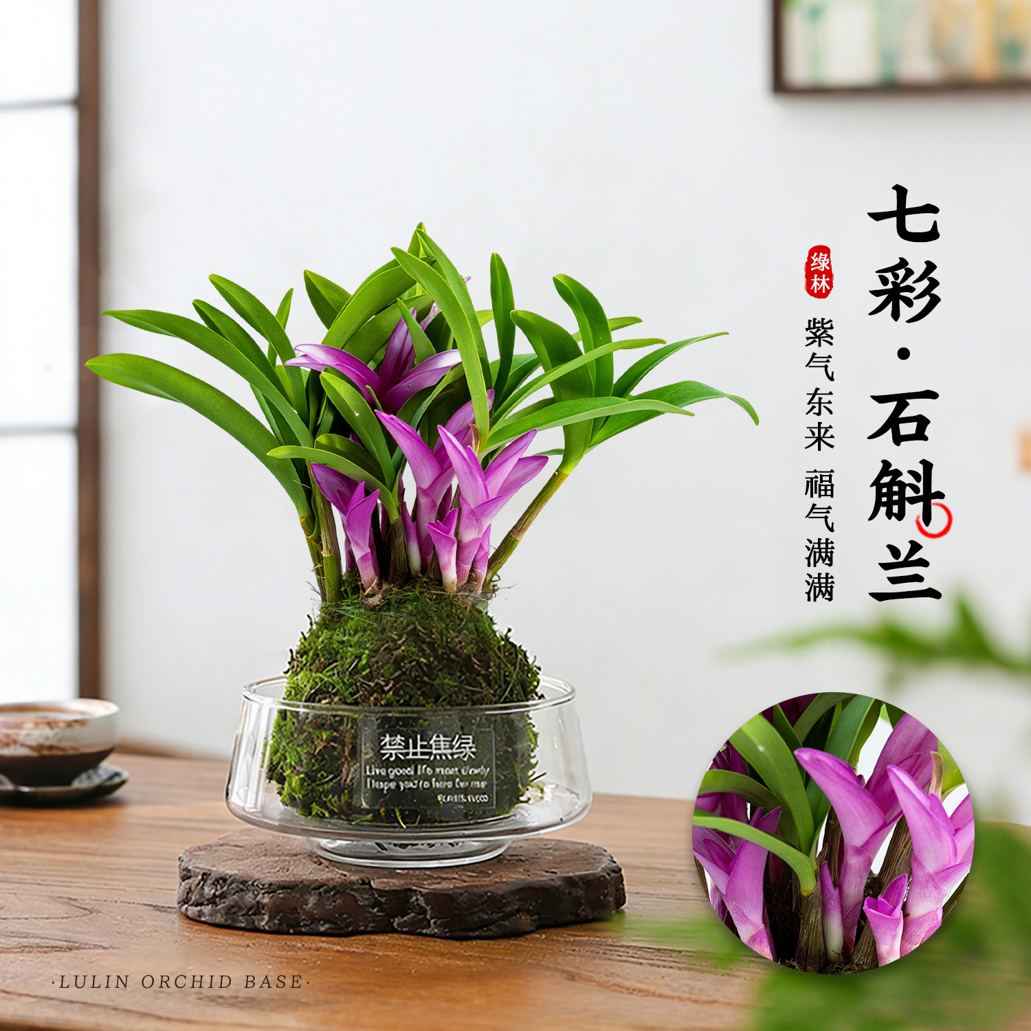 二代　赤沢露石（初代露石）香合　香盆 香水石斛水培-香水石斛水培促销价格、香水石斛水培品牌- 淘宝
