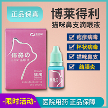 Bo Leyte Cat Nasal Branch Eye Drops Nasal Drops Nasal Drops Cup Herpes Virus Snared Tear Score Sections
