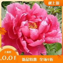 Self-made computer wallpapers need to be installed on their own without the need for logistics shipping along with the shoot