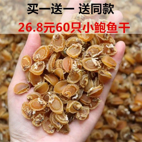 Dried abalone Wild premium small abalone Seafood dried seafood Soup porridge Buddha jumping over the wall ingredients 60