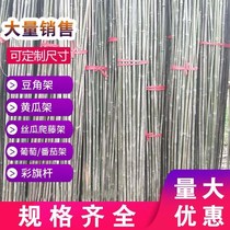Dancing bamboo pole clothesline fence Bamboo pole Dance partition wall Traction climbing pole Thin bamboo pole Bamboo branch vegetable rack bundle