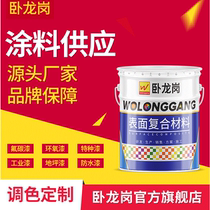 Wollongong vinyl glass flake putty Epoxy glass putty factory direct sales can be customized construction