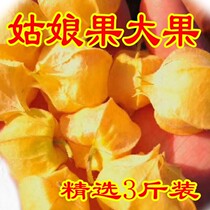 Girl fruit Northeast Heilongjiang specialty fresh fruit sweet mushroom girl fruit yellow mushroom lantern fruit selection 3kg big fruit