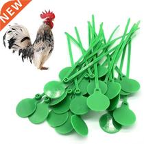 100 Pcs Poultry Identity Plate Tie Chicken Foot Strap Charm