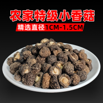 Farm small mushroom and money mushroom dry goods super extra small natural basswood dried mushroom household mushroom bulk 250g