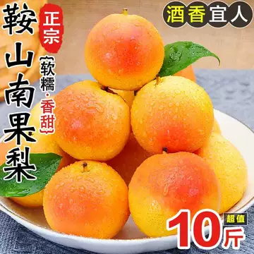 南果梨一箱高級 果物