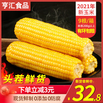 21-year new goods] Inner Mongolia yellow corn fresh glutinous rice corn stick sticky corn vacuum substitute meal non-Northeast current pick