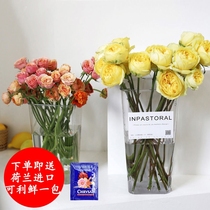 Wake-up flower bucket household transparent flower barrel wake-up flower anti-drop pressure crystal high transparent simple European flower bucket flower shop
